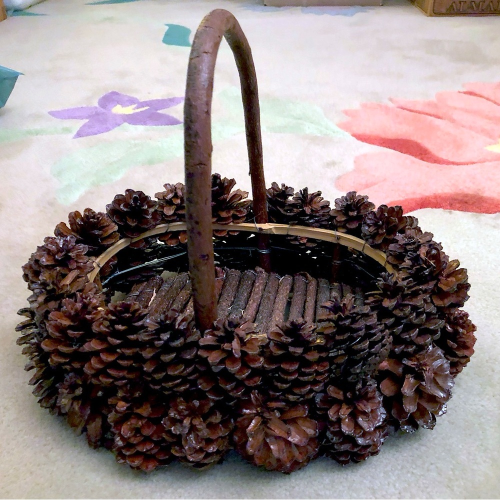 Twig and Pine Cone Basket
